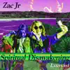 Zac Jr - Spiritual Disawakening (Extended)